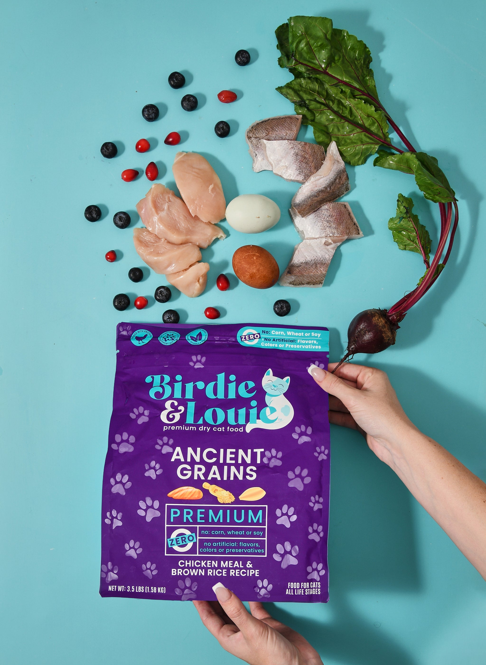 3.5lb Chicken Meal & Brown Rice Recipe Dry Cat Food – Birdie & Louie