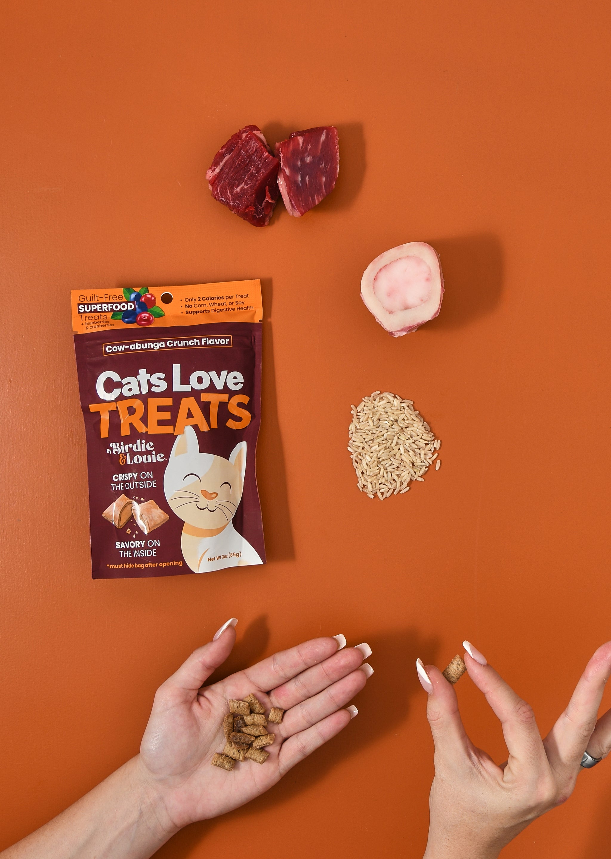Cat Treat Multipack – All 4 Cheeky Flavors – Birdie & Louie